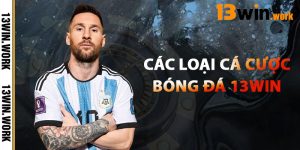 Các Loại Cá Cược Bóng Đá 13WIN
