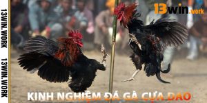 Kinh Nghiệm Đá Gà Cựa Dao