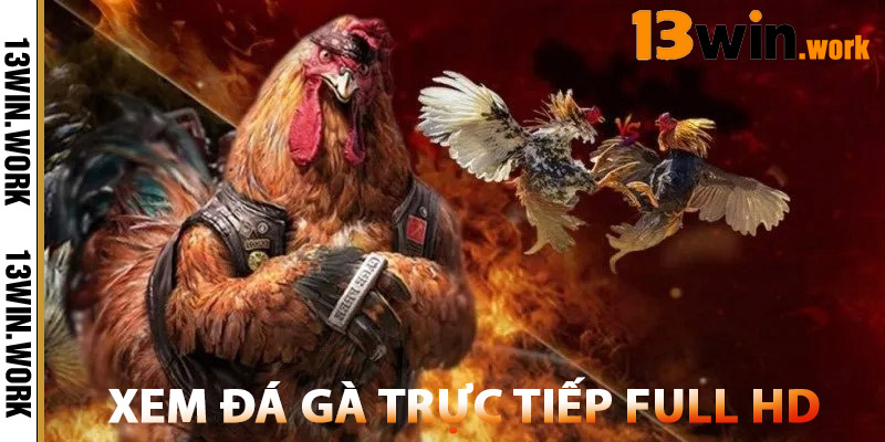 Xem trực tiếp Full HD